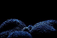 KONICA MINOLTA DIGITAL CAMERA