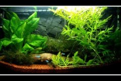 akwakubara akwakubara