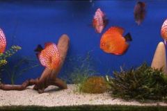 OLYMPUS DIGITAL CAMERA OLYMPUS DIGITAL CAMERA