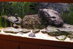 kremlinger1 kremlinger1