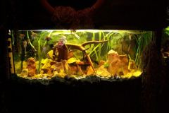 KONICA MINOLTA DIGITAL CAMERA KONICA MINOLTA DIGITAL CAMERA