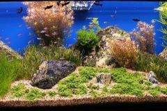 KONICA MINOLTA DIGITAL CAMERA KONICA MINOLTA DIGITAL CAMERA