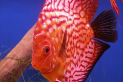 OLYMPUS DIGITAL CAMERA OLYMPUS DIGITAL CAMERA