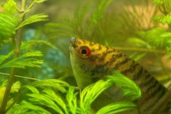 KONICA MINOLTA DIGITAL CAMERA KONICA MINOLTA DIGITAL CAMERA