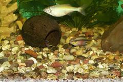 KONICA MINOLTA DIGITAL CAMERA