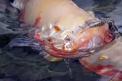 KONICA MINOLTA DIGITAL CAMERA