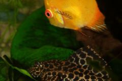 W oczekiwaniu na ?niadanko... W oczekiwaniu na ?niadanko...