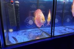 42659785_325534838204802_8019957595341062144_o 42659785_325534838204802_8019957595341062144_o