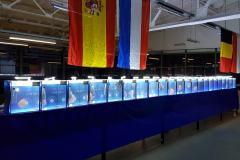 42667536_325535618204724_8195805861520605184_o 42667536_325535618204724_8195805861520605184_o