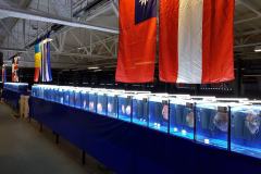 42677622_325535554871397_5609840854719004672_o 42677622_325535554871397_5609840854719004672_o