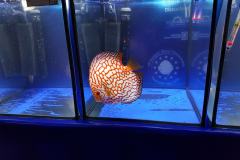 42709088_325534961538123_5411467361972649984_o 42709088_325534961538123_5411467361972649984_o