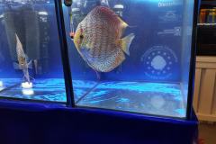 42709101_325534744871478_2406451170718515200_o 42709101_325534744871478_2406451170718515200_o