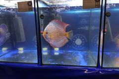 42710783_325535428204743_1977980577525006336_o 42710783_325535428204743_1977980577525006336_o