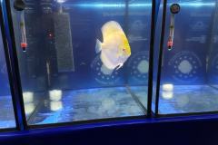 42731832_325535348204751_1942132096118030336_o 42731832_325535348204751_1942132096118030336_o