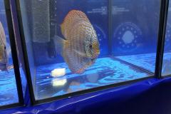 42738378_325534798204806_3712476289353908224_o 42738378_325534798204806_3712476289353908224_o