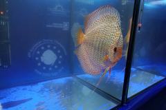 42754150_325534614871491_3741012936831795200_o 42754150_325534614871491_3741012936831795200_o