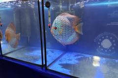 42758758_325534458204840_6640723139942678528_o 42758758_325534458204840_6640723139942678528_o