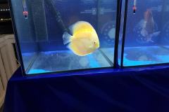 42773874_325534678204818_6313203781651660800_o 42773874_325534678204818_6313203781651660800_o