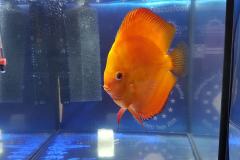 42792879_325535244871428_350834416458661888_o 42792879_325535244871428_350834416458661888_o