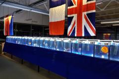 42805530_325535518204734_6296665048005738496_o 42805530_325535518204734_6296665048005738496_o