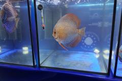 42824072_325534501538169_1339113770022076416_o 42824072_325534501538169_1339113770022076416_o