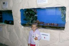 KONICA MINOLTA DIGITAL CAMERA