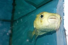 KONICA MINOLTA DIGITAL CAMERA