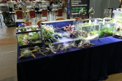 2019-Aqua-Silesia-Wystawa-Zdjecie-003-GreenArt