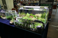 2019-Aqua-Silesia-Wystawa-Zdjecie-005-GreenArt