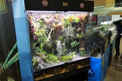 2019-Aqua-Silesia-Wystawa-Zdjecie-060-Oceanika