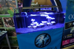 2019-Aqua-Silesia-Wystawa-Zdjecie-065-Oceanika