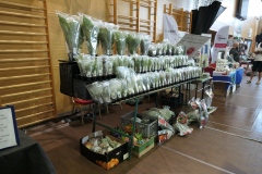 2019-Aqua-Silesia-Wystawa-Zdjecie-071-Water-Garden