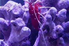 903024f2a85fabd8115da42b556245e8