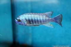 116239407_1652197678252138_5403258599637400130_o