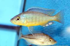 116408443_1652194488252457_6363768463676066080_o