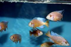 116433327_1652186868253219_8568306760522322245_o