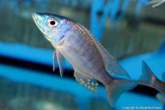 116771297_1652184701586769_5655895564833470860_o