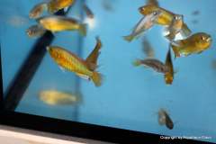 117383725_1660843434054229_3152118285917351081_o