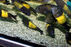 117966626_1669888169816422_2860549140892409808_o