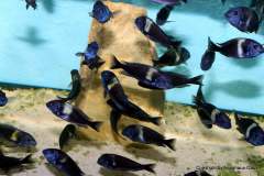 118001891_1669888459816393_7379456218978880675_o