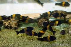 118141671_1669887883149784_5834382175458638237_o