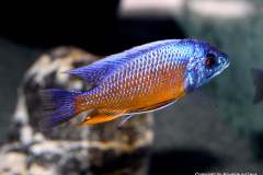 121102353_1719623274842911_3578227212852587801_o