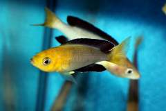 121110551_1719618284843410_2590174489782128659_o