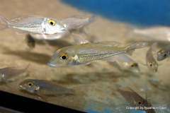 121113240_1719620374843201_8404036918521212014_o