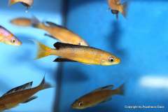 121153689_1719619381509967_9156936483778947200_o