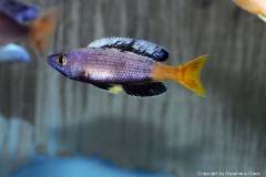 121182457_1719616648176907_3621852551548910242_o