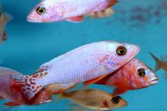 121189874_1719621654843073_7587010969786675375_o