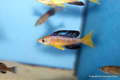 121189878_1719619318176640_9199003217479152847_o