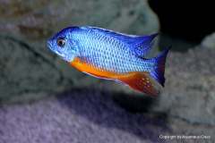 121225671_1719625141509391_3502846416278544928_o