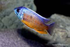 121265455_1719623734842865_8964587688887615150_o